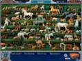 Descarga gratuita Can You See What I See Juego