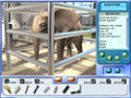 Descarga gratuita Zoo Vet 2: Endangered Animals Juego